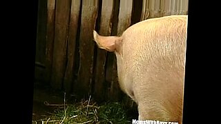 gay-sex-barn-videos