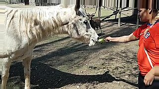 blanca-pelo-negro-follada-en-desayuno