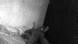 wife-brings-used-condon-to-cuckold