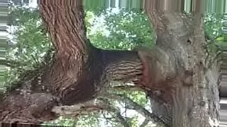 anal-dildo-public-outdoor-porn-tube
