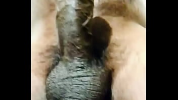 anal sex with a black cock